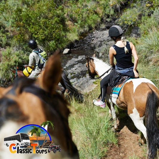 Horseback Riding Trelawny